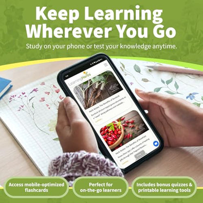 Herb Notes Plant Identification Cards, 48 Illustrated Botanical Flash Cards | Herb Cards for Plant Identification, Nature Study & Classroom Learning, Compatible with Learning Herbs Wildcraft! Board Game - style: Herb Notes
