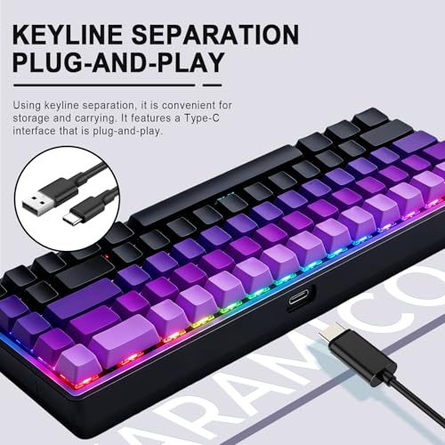 Wired 65% Mechanical Gaming Keyboard, Purple Gradient PBT Keycaps RGB Backlit Compact Mini Keyboard, Portable Ergonomic Gaming Keyboard for PC Laptop Desktop Gamers Office Work - color: Purple