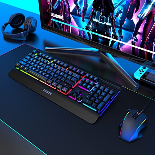 Gaming Keyboard Wireless, Light Up LED Backlit, Rechargeable Keyboard 50 Hours Battery Life & Sleep Mode & Indicators, Quiet, Ergonomic Metal Wrist Rest for PC Computer Gamer - 2.4G USB, Black