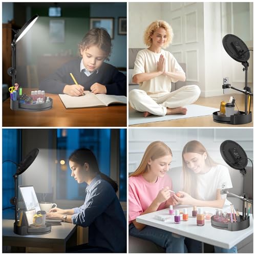 Selfie Light Kit for Desk and Laptop,55W Dimmable Full Screen Ring Light,with Rotating Storage Box,Pen Holder Stand,Phone Holder and Controller (Maya Blue, 10.5) - color: Maya Blue