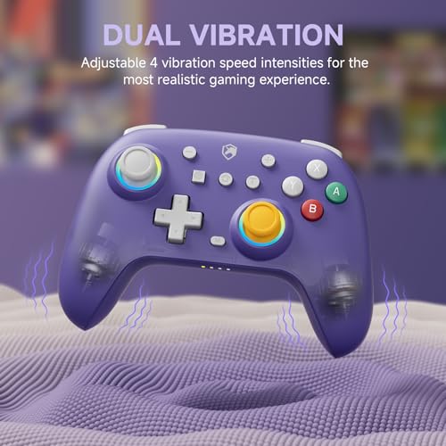 ECHTPower Switch Controller, Hall Joystick Controller for Switch 2 Retro Design, 2025 Wireless Switch Pro Controller with RGB/Turbo/Marko/Vibration, Wireless Gamepad for Switch 2/OLED/PC/Adroid/iOS