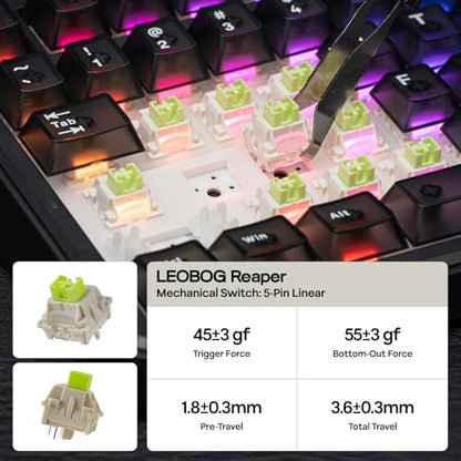 EPOMAKER X Aula F75 MAX Wireless Mechanical Keyboard with TFT Screen and Knob, Gasket Keyboard in 75% Layout, Hot Swappable Gaming Keyboard for PC/Mac/Linux (Matte Black) - color: Matte Black
