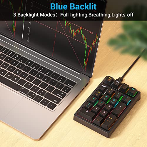 Number Pad, Mechanical USB Wired Numeric Keypad with RGB LED Backlit 21 Key Numpad,Mechanical Numeric Keypad for Laptop Desktop Computer PC Blue Switch - color: Classic Black