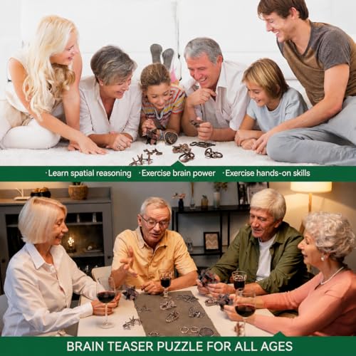 13 Pcs Brain Teaser Puzzles for Adults - Metal Puzzles 3D Puzzle Game Toys for Adults Teens - Wooden Unlock Interlocking Puzzle Adult IQ Education Smart Toys - style: Style A