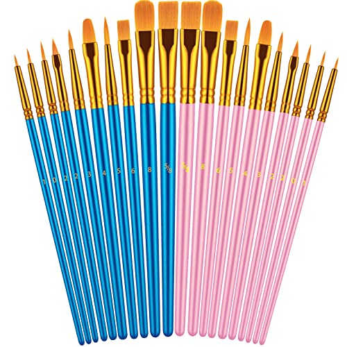 Paint Brushes Set, 20 Pcs Paint Brushes for Acrylic Painting, Oil Watercolor Acrylic Paint Brush, Artist Paintbrushes for Body Face Rock Canvas, Adult Drawing Arts Crafts Supplies, Blue+Pink - color: Blue,pink