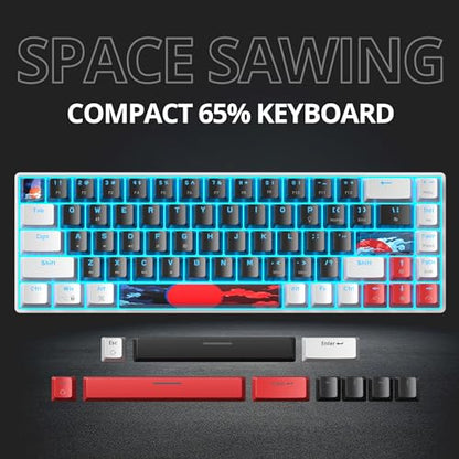 Protable 60% Percent Gaming Keyboard Mechanical, Mini Compact Ice-Blue LED Backlit 68 Keys Wired Office Keyboard with Red Switch for Mac/Win/PS4/PS5(68Black/red Switch) - color: 68Black/red Switch