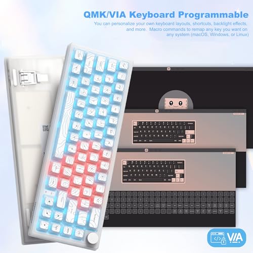 Womier 60% Keyboard Gaming, Wireless Mechanical Creamy Keyboard QMK/VIA | Topographic Hot-Swappable BT5.0/2.4G/USB-C RGB Key board Double-Layer Clear Keycaps for Mac/Win/Gaming (Q61 V2) - color: C-White Transparency