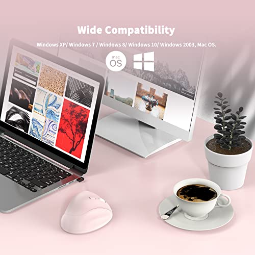 MICROPACK Digitally Yours Ergonomic Wireless Mouse with USB Receiver for PC, Laptop and Desktop, Pink - color: Pink, size: USB Wireless
