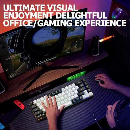 Guiheng Wired Portable 60% Mechanical Gaming Keyboard,RGB LED Backlit Compact 68 Keys Mini Wired Office Keyboard with Red Switch for Windows Laptop PC Mac - White - color: White and black