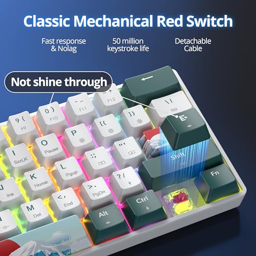 surmen Wireless Keyboard 60% Gaming Keyboard 60 Percent, Hot Swappable RGB Mini Bluetooth BT5.0/USB-C Mechanical Keyboard with Software for Windows Mac Laptop (Gateron Red, Green 61) - color: Green 61-Red Switch