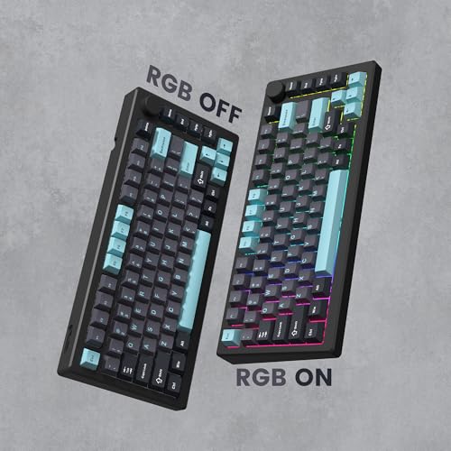 dagaladoo Double Shot PBT keycaps Set, Cherry Profile Keyboard Keycaps | Retro key caps full size,Custom keycaps for 60% 65% 75% 100% Cherry-MX switch Mechanical Keyboard(Grey/Blue) - color: Dark Grey/Blue
