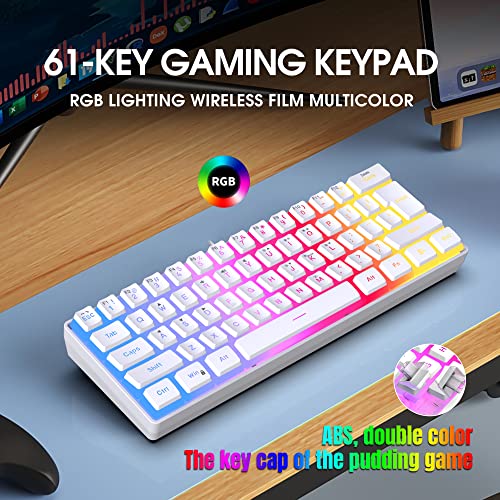 DGG 60% Wired Gaming Keyboard, Pudding Keycaps with Translucent Layer, RGB Backlit Ultra-Compact Small Keyboard, Waterproof Mini Compact 61 Keys Keyboard for PC/Mac Gamer, Typist, Travel, White - color: White