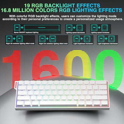 Aula MINI60 HE PRO Wireless Gaming Keyboard 60%,Hall Effect Rapid Trigger Magnetic Keyboard,8000Hz Polling,Tri-Mode(BT5.0/2.4GHz/USB-C),RGB Hot Swappable Compact Mechanical Keyboard for Gamer(White) - color: Pro-White Side