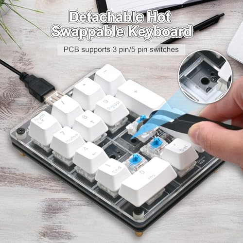 Icstation Numeric Keypad Soldering Practice Kit, 17 Key USB Hot-Swappable Blue Switches Mechanical Number Pad with PBT Keycaps STEM Soldering Project for School Learning Hobbyists Laptop PC Computer