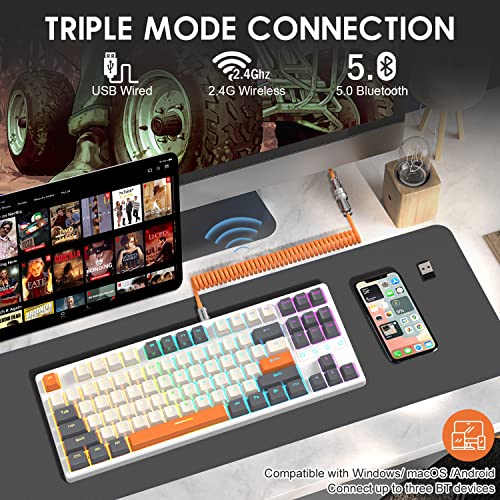ATTACK SHARK K87 Wireless Keyboard,TKL Mechanical Keyboard,2.4G/BT 5.0/Wired Coiled Keyboard Cable,Hot Swappable Tactile Switch,Chroma RGB,3000 mAh Rechargeable Battery for Windows Mac(White-Gray) - color: White Gray
