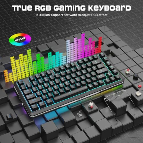 Redragon K713 Wireless Mechanical Keyboard, Gasket Mounted RGB Gaming Keyboard, 3-Mode (2.4G/BT/USB), Pre-Lubed Linear Red Switches, 75％ Layout, 82 Keys Hot Swappable for PC/Mac - Black - color: Abyssal Black, size: Pre-Lubed Red Switch