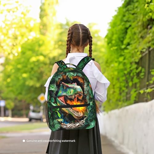 School Backpack for Boys- Dinosaur Backpacks Boys Backpack for Kids Children Teens Elementary Middle School - Students Bookbag Ages 6-18, Dinosaur Bookbag Travel Back Pack - color: Dinosaur