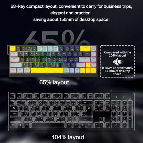 GOWENIC Wired Gaming Keyboard, RGB Backlit Mechanical Gaming Keyboard, 68 Keys Quiet Anti Ghosting No Conflict, Full Size Computer for PC Laptop (Black Gray) - color: Black Gray