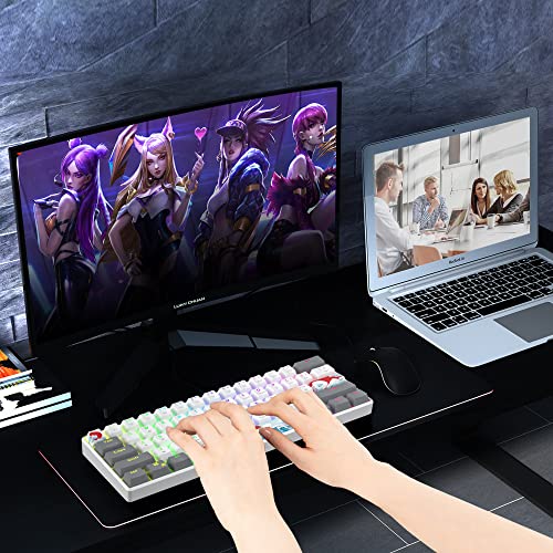 Owpkeenthy RGB Mechanical Keyboard 60 Percent Red Switches, Ultra-Compact Mini Wired Gaming Keybaord with Backlit PBT Dye-Sub Keycaps for Win/Mac/PC (White/Red Switch) - color: White/ Red Switch