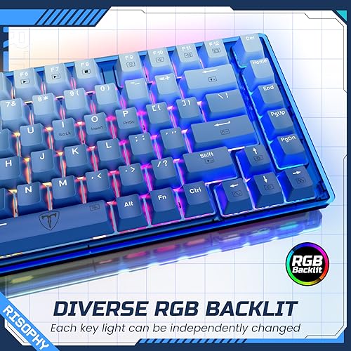 RisoPhy 60 Percent Mechanical Gaming Keyboard - 82 Keys Hot Swappable, Linear Silent Red Switches, Blue PBT Keycaps, Compact Mini RGB Led Backlit Wired, Pro Driver Supported