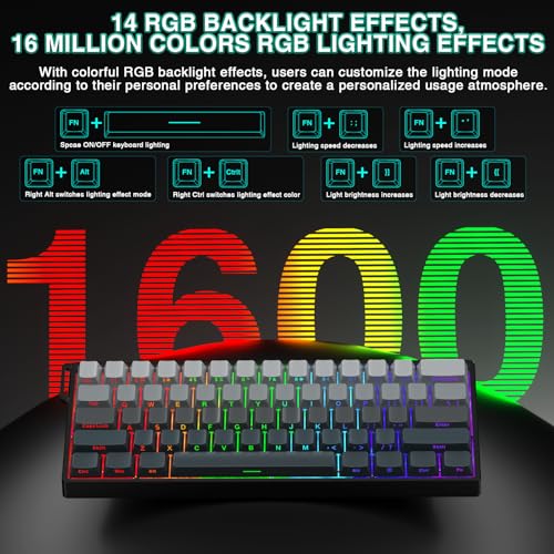 Aula WIN60 HE - 60% Mechanical Gaming Keyboard Wired, Hall Effect Magnetic Switch Hot Swappable,8000 Hz Polling Rate, RGB Keyboard 60 Percent Compact Design for PC (Gradient Gray) - color: Gradient Gray