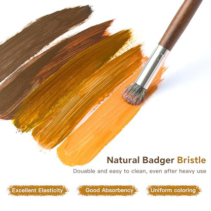 Fuumuui Professional Paint Brush Set, 6Pcs Natural Badger Hair with Dome Shape Blending Mop Oil Paint Brushes for Acrylic Painting Oil and Gouache - style: Dome