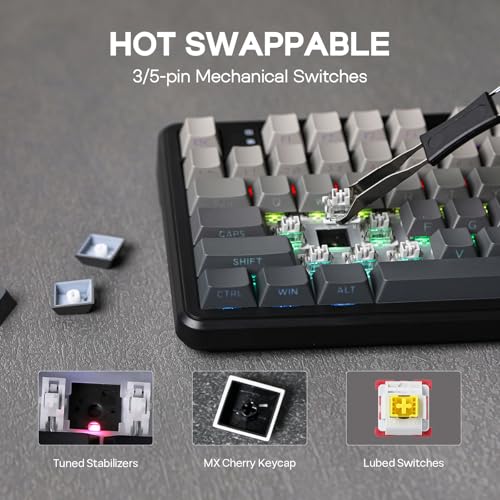 EPOMAKER Aula F108 Wireless Gaming Keyboard, Full Size Mechanical Keyboard with 4000mAh Battery, 108 Hot-Swappable and Programmable Keys, RGB Backlight, for Mac/PC/Android (Shadow Black) - color: Shadow Black