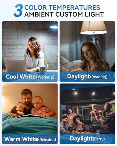 WirelessGlow Rechargeable Light Bulbs with Remote, 3 Color Temperatures and Dimmable Battery Operated Light Bulbs, Touch Control + USB Rechargeable Battery Light Bulb, A19, 2 Pack - color: 3000k-4000k-6500k, size: 2 Count (Pack of 1)