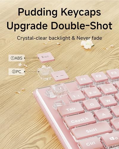 V3 Wireless Keyboard and Mouse Combo, Bluetooth/2.4G Rechargeable Light up Quiet Computer Wireless Keyboard and Mouse with White Backlit, Metal Panel-Pink - color: Upgraded Version - Pink