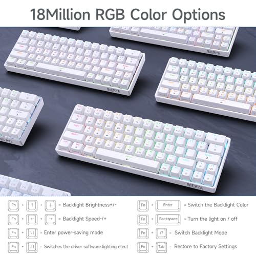 DIERYA DK63 60% Wireless Mechanical Gaming Keyboard | Bluetooth/2.4G/Wired Keyboard | RGB Backlit Compact 63 Keys Mini Office Keyboard | with Blue Switch | for Windows Laptop PC Gamer Typist-White - style: White/Blue Switches