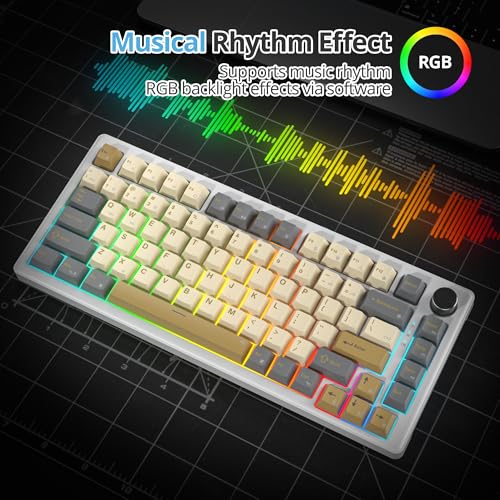 75% Retro Mechanical Keyboard Gasket with Knob, Custom Wired Creamy Gaming Keyboard TKL 75 Percent Hot Swappable RGB Backlit, Pre-lubed Switch for Win/MAC PC Laptop（Shimmer/White Switch） - color: Shimmer/White Switch