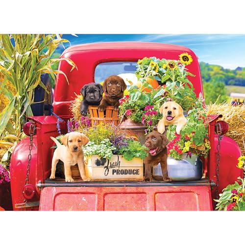 RoseArt Kodak Premium Stowaways 1000 Piece Jigsaw Puzzle for Adults | 20" x 27" Finished Size, Fully Interlocking Pieces, Bonus Poster Included, Made in USA - style: Stowaways