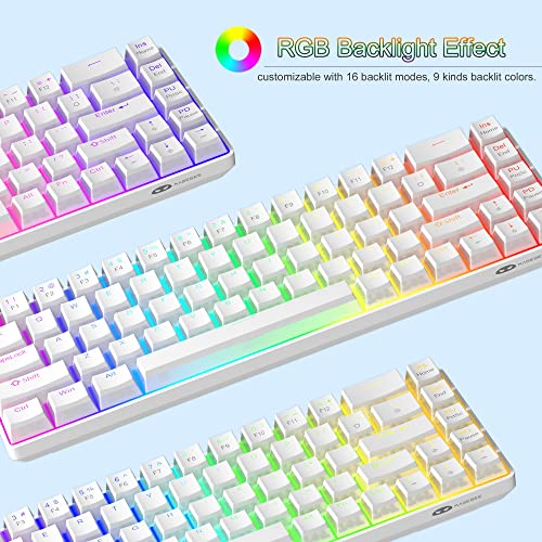 MageGee Portable 60% Mechanical Gaming Keyboard, Red Switch, PBT Pudding Keycaps RGB Backlit Compact 68 Keys Mini Wired Office Keyboard for Windows Laptop PC - White - color: Ivory White /Red Switch