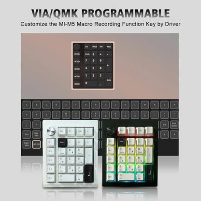 FKZ GMK26 Mechanical Numpad,Gasket VIA Macro Numeric Keypad Hot Swap Wireless 2.4G/BT5.0/Wired USB-C RGB Backlit 26 Keys Mini Protable Number Keyboard Programmable for Win/Mac/Gaming (Black) - color: Black