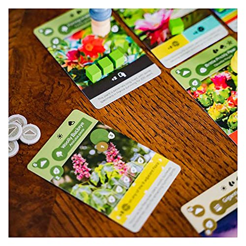 Inside Up Games Earth | Board Game of the Year 2023 | Ecosystem Building, Card Drafting, Action Selection | Create Amazing Natural Synergies | 1 to 5 Players | 45 to 90 Minute | Age 13+