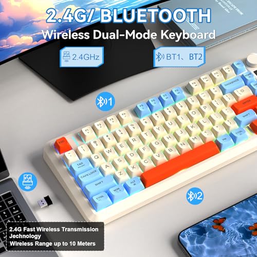ZIYOU LANG M75 Wireless Gaming Keyboard, RGB Backlit Rechargeable 2000mAh Battery, Small Membrane But Mechanical Feel Keyboard with Smart Display & Knob, PBT Gradient keycaps for PC, MAC - Blueberry - color: Blueberry