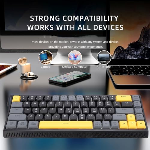 Wired Keyboard, 68 Keys RGB Backlit Gaming Keyboard, Quiet Slim Anti Ghosting Wired Computer Keyboards with Scissor Switch for PC, Laptop, Desktop (Black Gray) - color: Black Gray