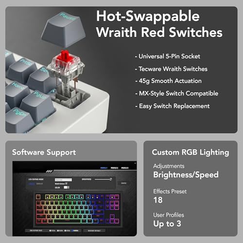 TECWARE Phantom+ Elite 87 Key RGB Mechanical Gaming Keyboard | 3 Mode Wireless Bluetooth 5.0 2.4GHz & USB C Wired | Hot Swappable 5 Pin | Double Shot PBT Keycaps | Wraith Red Switch - White - color: Red Switch, size: Phantom+ Elite 87 | White