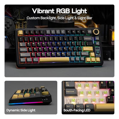 EPOMAKER X Aula EA75 MAX Wireless Gaming Keyboard with Screen & Knob | 5000mAh, Hot-Swap, Lubed Switches, RGB Backlit, Creamy Gasket, 75% Mechanical Keyboard (Black, Reaper Switch) - color: Black, size: Reaper Switch