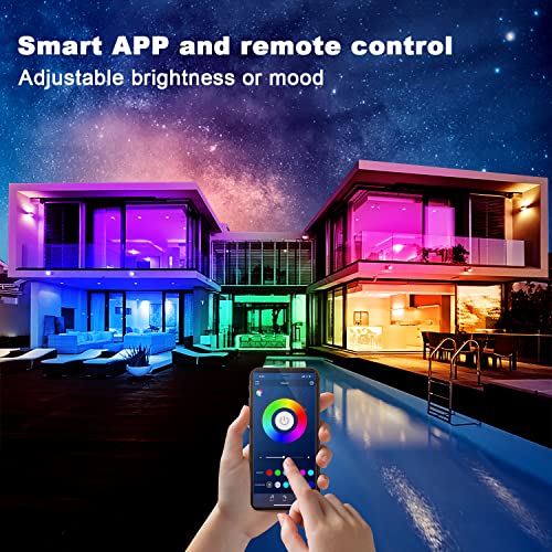 dalattin Led Strip Lights 200ft (2 Rolls of 100ft), Led Lights for Bedroom with App & Remote Control, 24V Led Lights Strip for Room & Festival Decoration - size: 200FT(Bluetooth)
