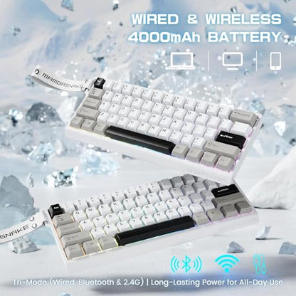 ATTACK SHARK MAMBASNAKE X60HE Wireless 8K Mechanical RT Keyboard-Star White | Tri Mode-2.4Ghz/BT/Wired,Hall Effect Magnetic Switch,RGB Backlight,0.01mm Accuracy,4000 mAh battery,Web Driver for PC Win Mac - color: Star White, size: Keyboard