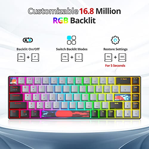 Protable 60% Percent Gaming Keyboard Mechanical, Mini Compact RGB Backlit 68 Keys Wired Office Keyboard with Red Switch for Mac/Win (Dolch/red Switch 68) - color: Dolch/red Switch 68