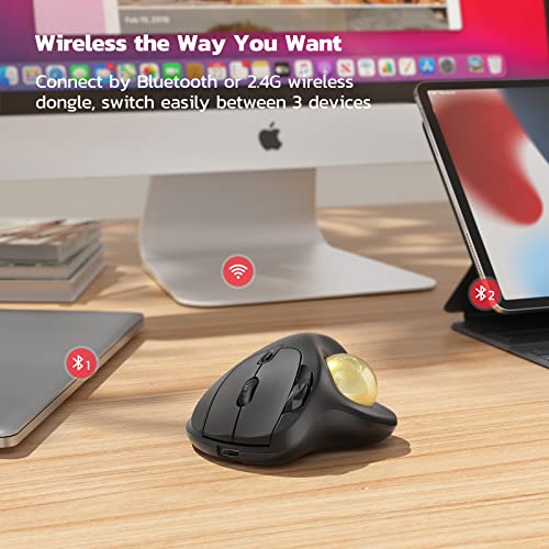 Nulea M501 Wireless Trackball Mouse Ergonomic Thumb Control, 4 DPI Levels | Rechargeable rollerball mouse with Bluetooth USB receiver,3 device use,smooth tracking,compatible with PC Mac Windows-Gold - color: H-Gold