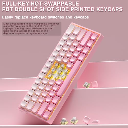 Aula MINI60 HE PRO Wireless Gaming Keyboard 60%,Hall Effect Rapid Trigger Magnetic Keyboard,8000Hz Polling,Tri-Mode(BT5.0/2.4GHz/USB-C),RGB Hot Swappable Compact Pink Mechanical Keyboard for Gamer - color: Pro-Pink Side