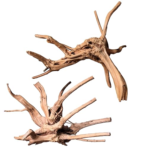 majoywoo Natural Large Driftwood for Aquarium Decor Reptile Decor, Assorted Spider Wood Branch 11-14" 2 Pcs, Fish Tank Decoration - size: Spiderwood 11 to 14 Inch(Pack of 2)