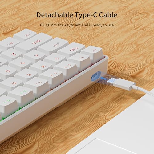 Newmen GM611 Mechanical Keyboard,LEDBacklit Wired Gaming Keyboard RedSwitch | Compact Portable,Mini 61 Keys,LED Backlit,60 Percent Mechanical Keyboard,White Keycaps,Windows Laptop PC,Linear Red Switches - color: white keycaps-red switch