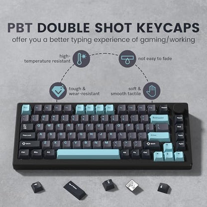 dagaladoo Double Shot PBT keycaps Set, Cherry Profile Keyboard Keycaps | Retro key caps full size,Custom keycaps for 60% 65% 75% 100% Cherry-MX switch Mechanical Keyboard(Grey/Blue) - color: Dark Grey/Blue