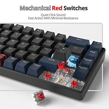 60 Percent Gaming Keyboard Mechanical with Linear Red Switch, 65% Wired Ultra-Compact Mini Keyboard Rainbow with PBT Keycaps for Ps4/Ps5/Xbox(68 Blue) - color: 68 Blue/red swicth