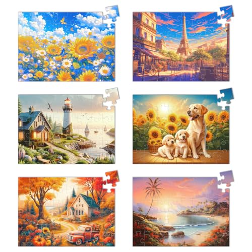 Yigney 6 Pack 48 Large Piece Jigsaw Puzzles for Seniors Alzheimer Products | for Elderly Dementia Activities Memory Game for Patients in Nursing Home with Storage Box - color: 48 Large Pieces