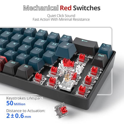 Portable 60% Mechanical Gaming Keyboard Blue/Black, RGB Backlit Wired Key Board with Red Switch, Compact 68 Keys Office Keyboards with for Windows Laptop PC (68 Monster/Red Switch) - color: 68 Monster/Red Switch